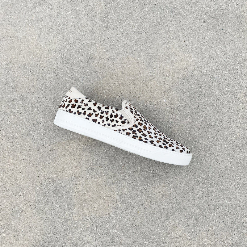 N°6 - Leopard Pony